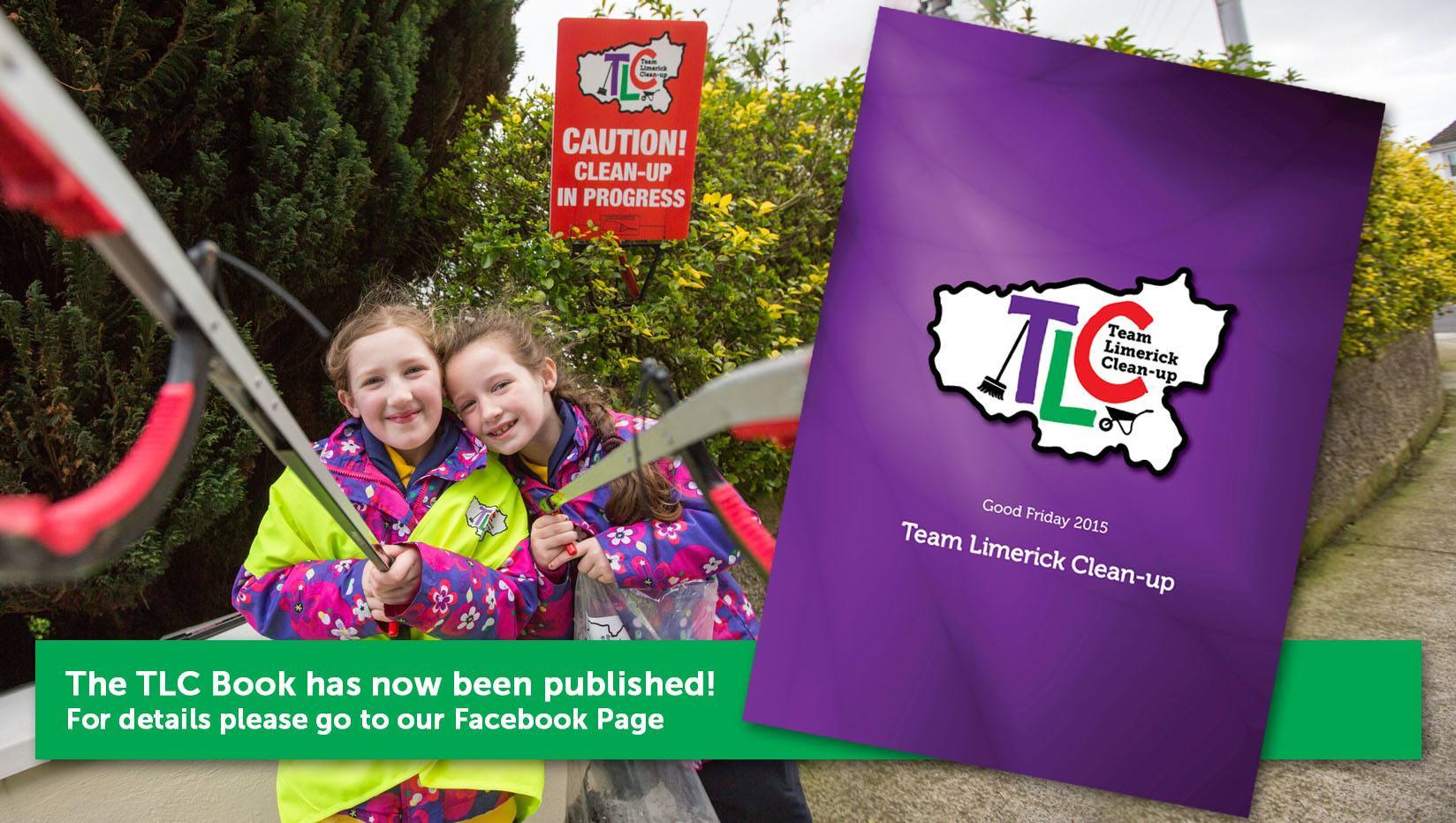 Book image for web page